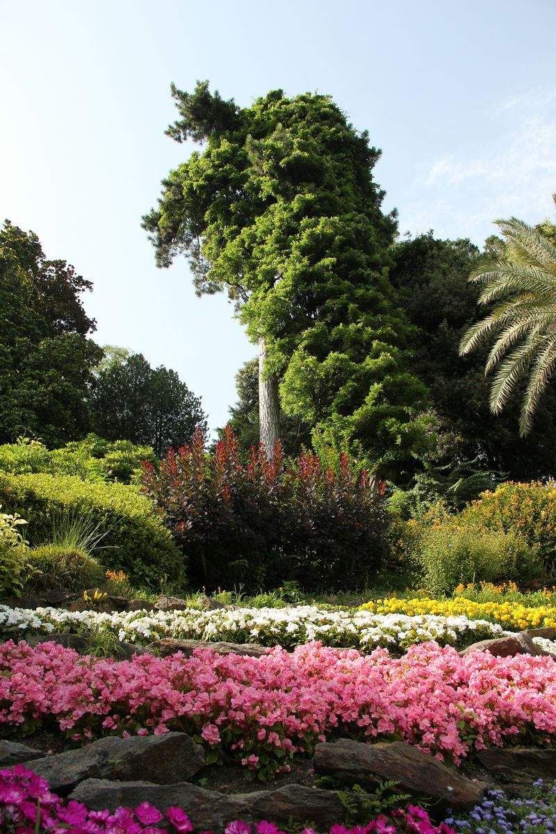 Maple Leaf Garden & Landscape Co.