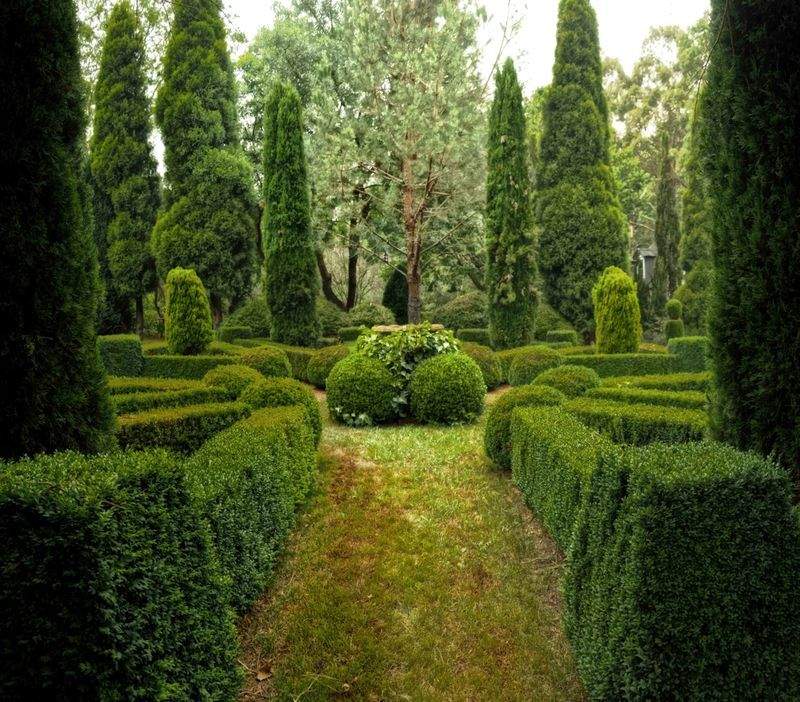 Designing Outdoor Spaces That Feel Inviting Year-Round