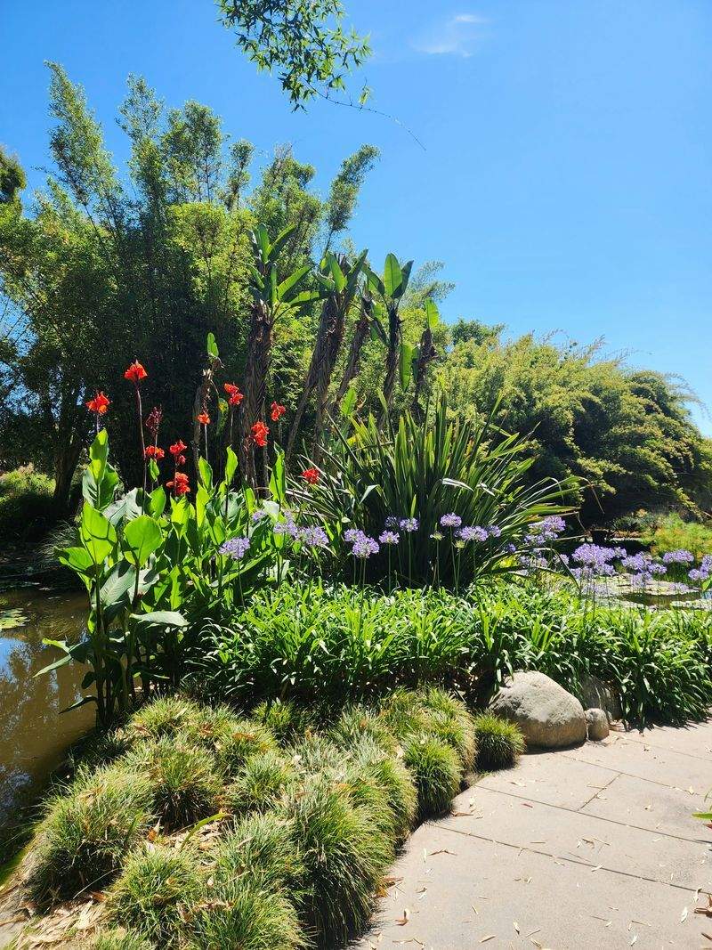 Maple Leaf Garden & Landscape Co. 14