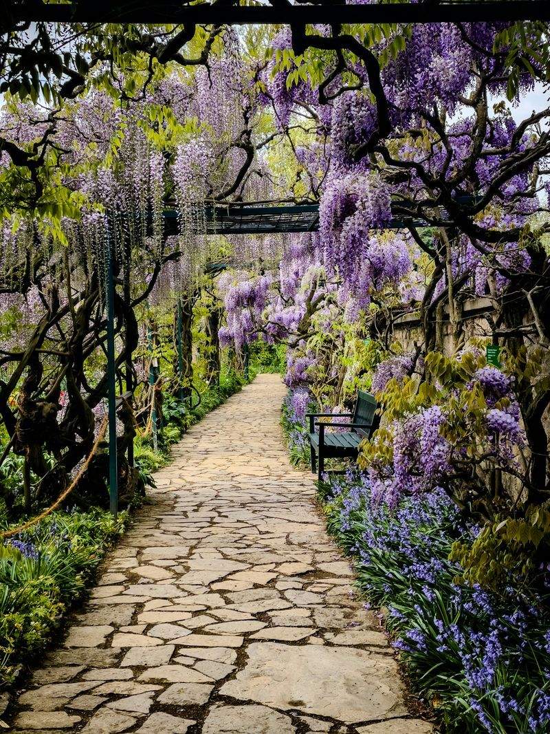 Maple Leaf Garden & Landscape Co. 2