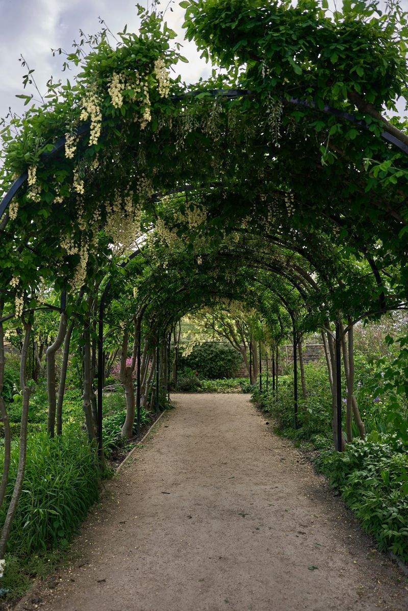 Maple Leaf Garden & Landscape Co. 9