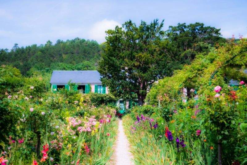 Garden design and planting